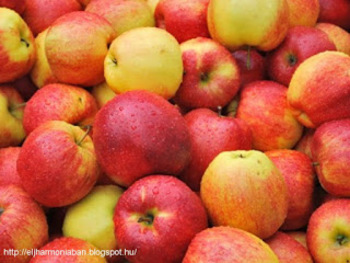 bikák szív puding alma egészség