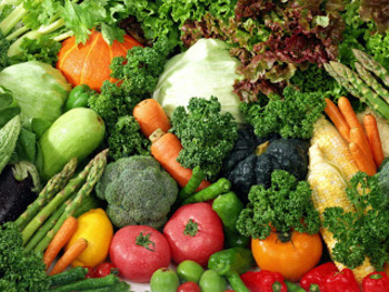 Az egészséges és tudatos táplálkozás alapjai 2. - Egészséges és tápláló ételek