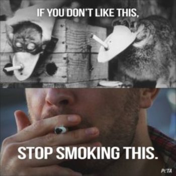 A dohányzás nem vegán! Nem csak magadat ölöd meg vele.