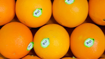 A narancs áurvédikus felhasználása