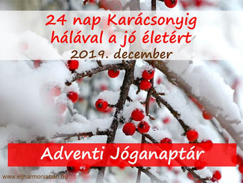 Adventi naptár  - 24 nap  Karácsonyig hálával a jó életért