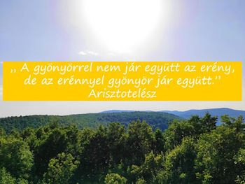 Arisztotelész - a gyönyörről