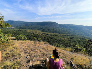 Idilli erdk, hs patak, tiszta vz forrs, mess panorma...