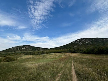 Rugalmassg a tratervezsben is