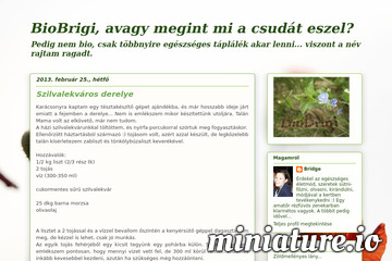 Szilvalekváros derelye