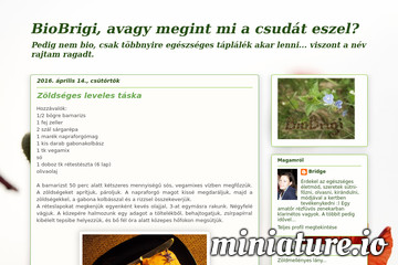 Zöldséges leveles táska